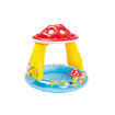 Picture of Intex Mushroom Pool